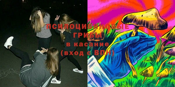 герыч Мегион