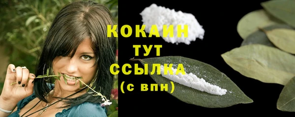 гашик Медвежьегорск