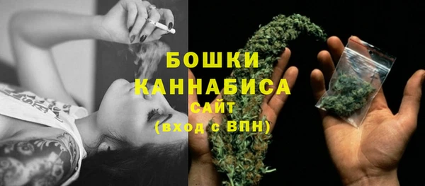 герыч Мегион