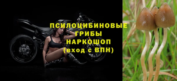 герыч Мегион