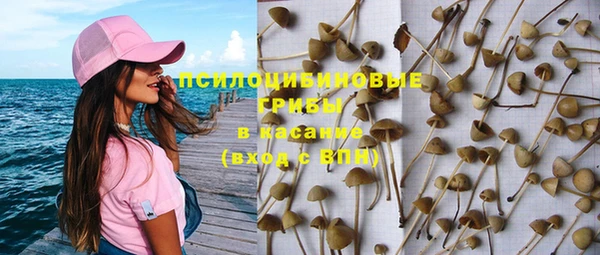 герыч Мегион