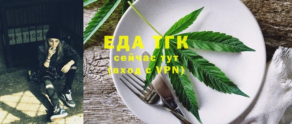 хмурый Аша