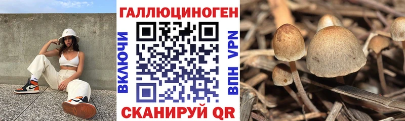 Галлюциногенные грибы мухоморы  Озёрск 